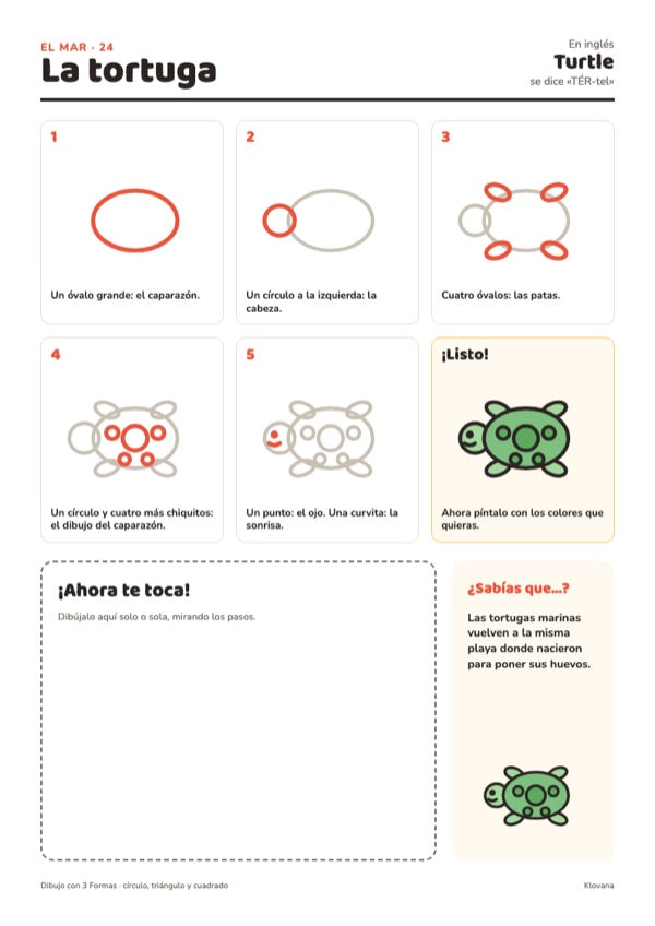 La ficha de la tortuga